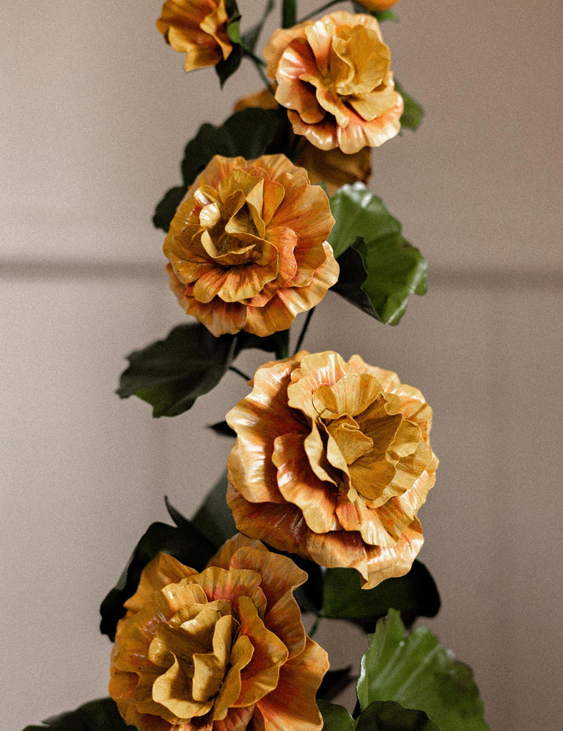 Harvest Glow Ruffle Petal Hollyhock