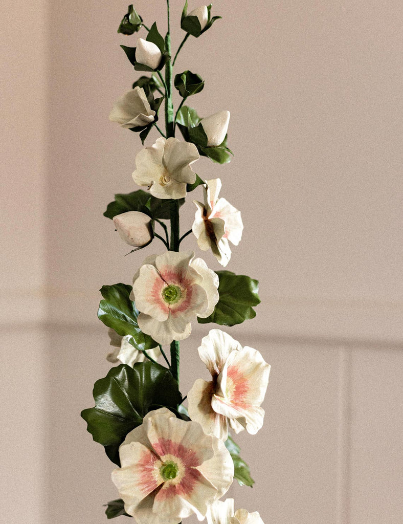 Porcelain Blush Single Hollyhock