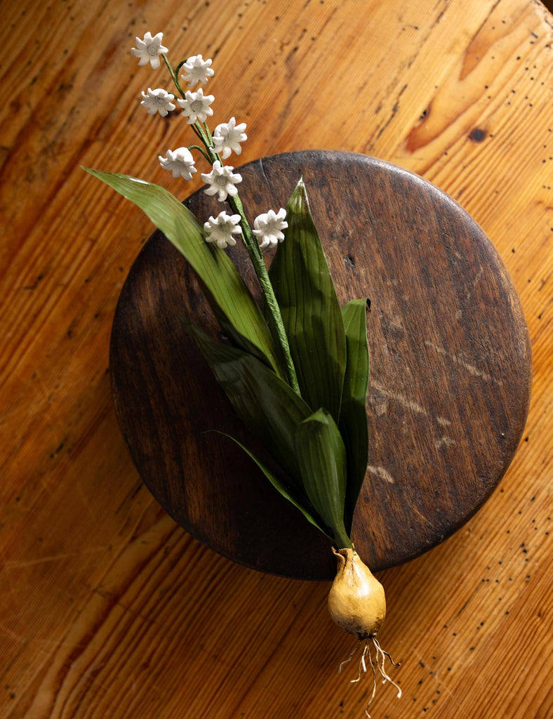 Lily of the Valley Wall Flower