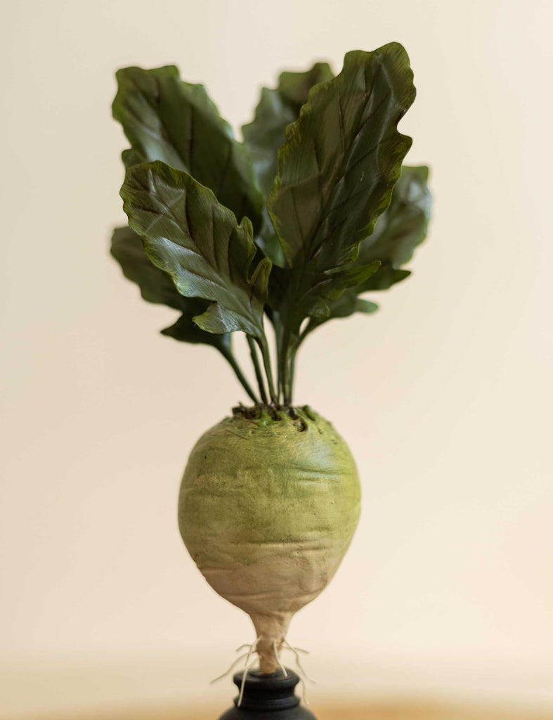 Green Turnip
