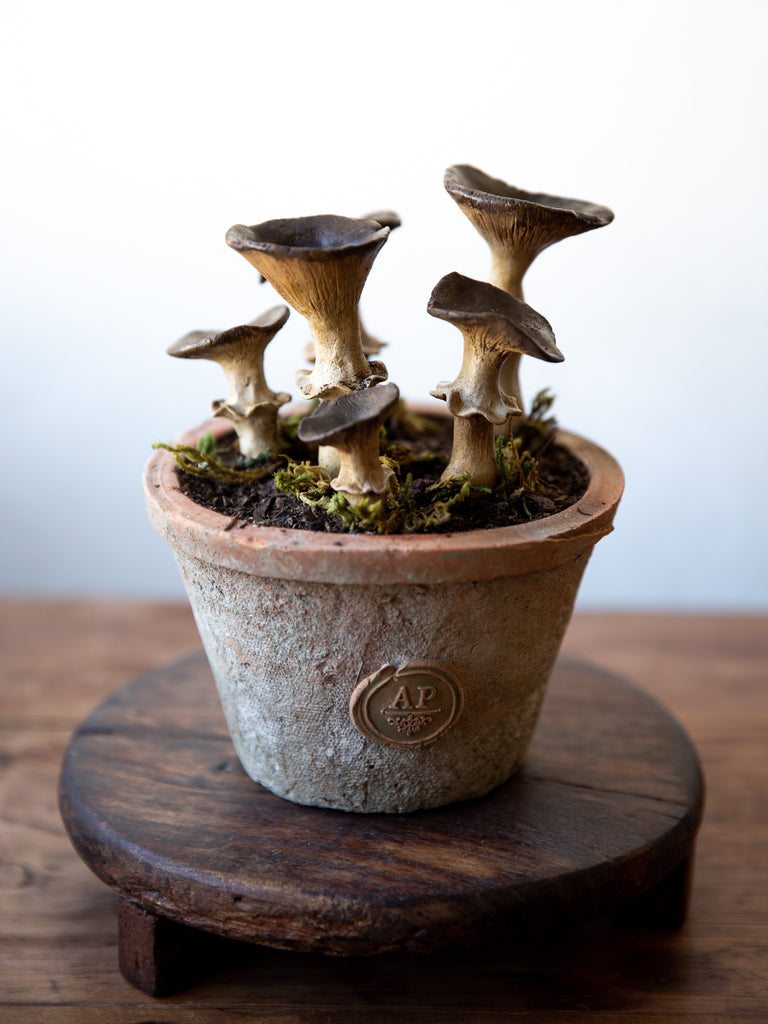 Wild Mushroom Pot