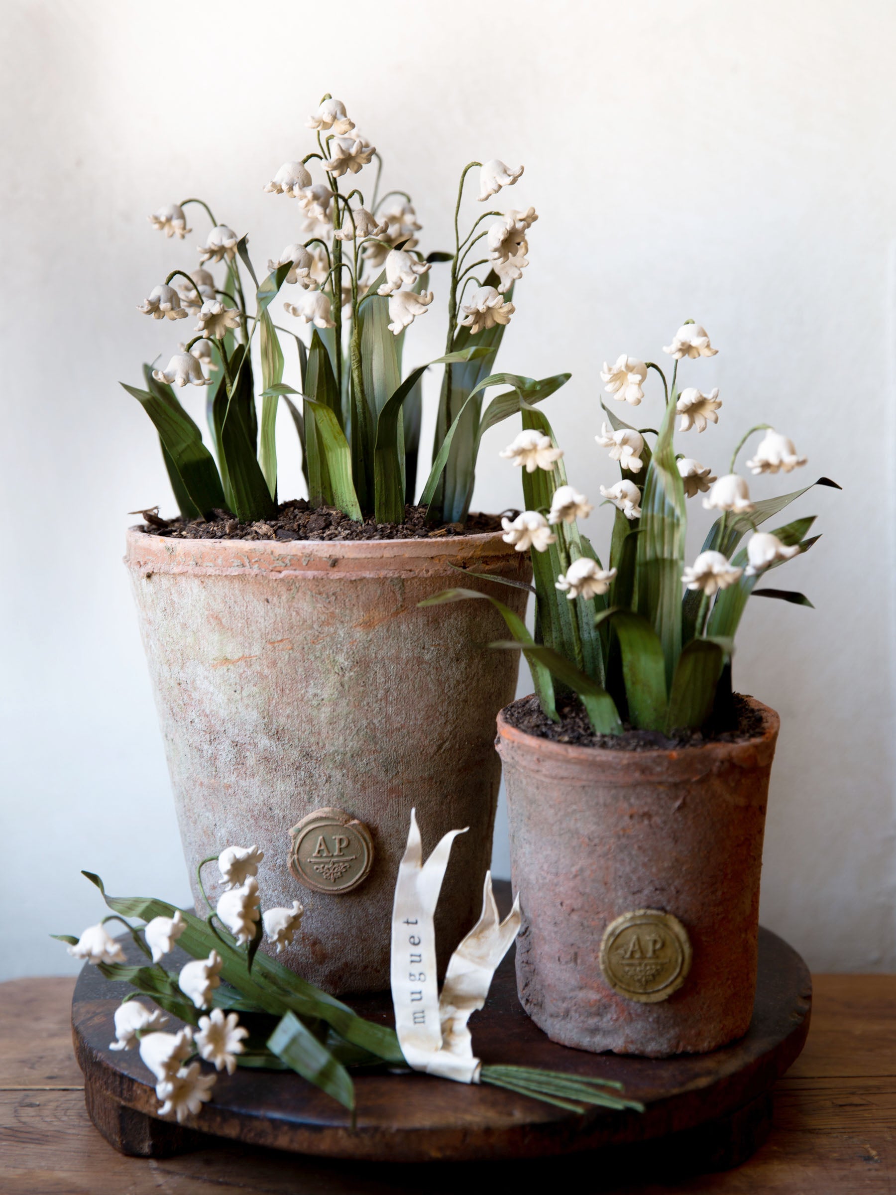 can lily of the valley be planted in pots Lily of The Valley Pots – Aimee Pradel