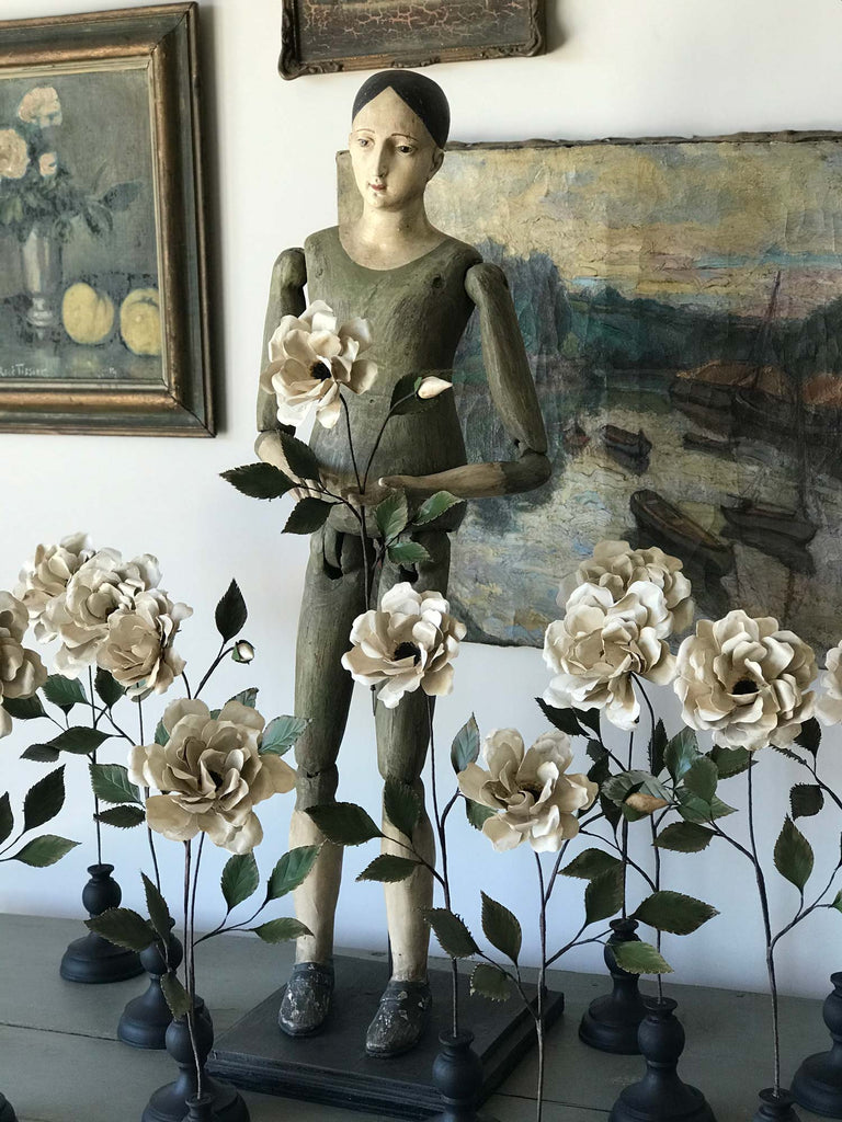 Garden Rose Specimen - Chalk White